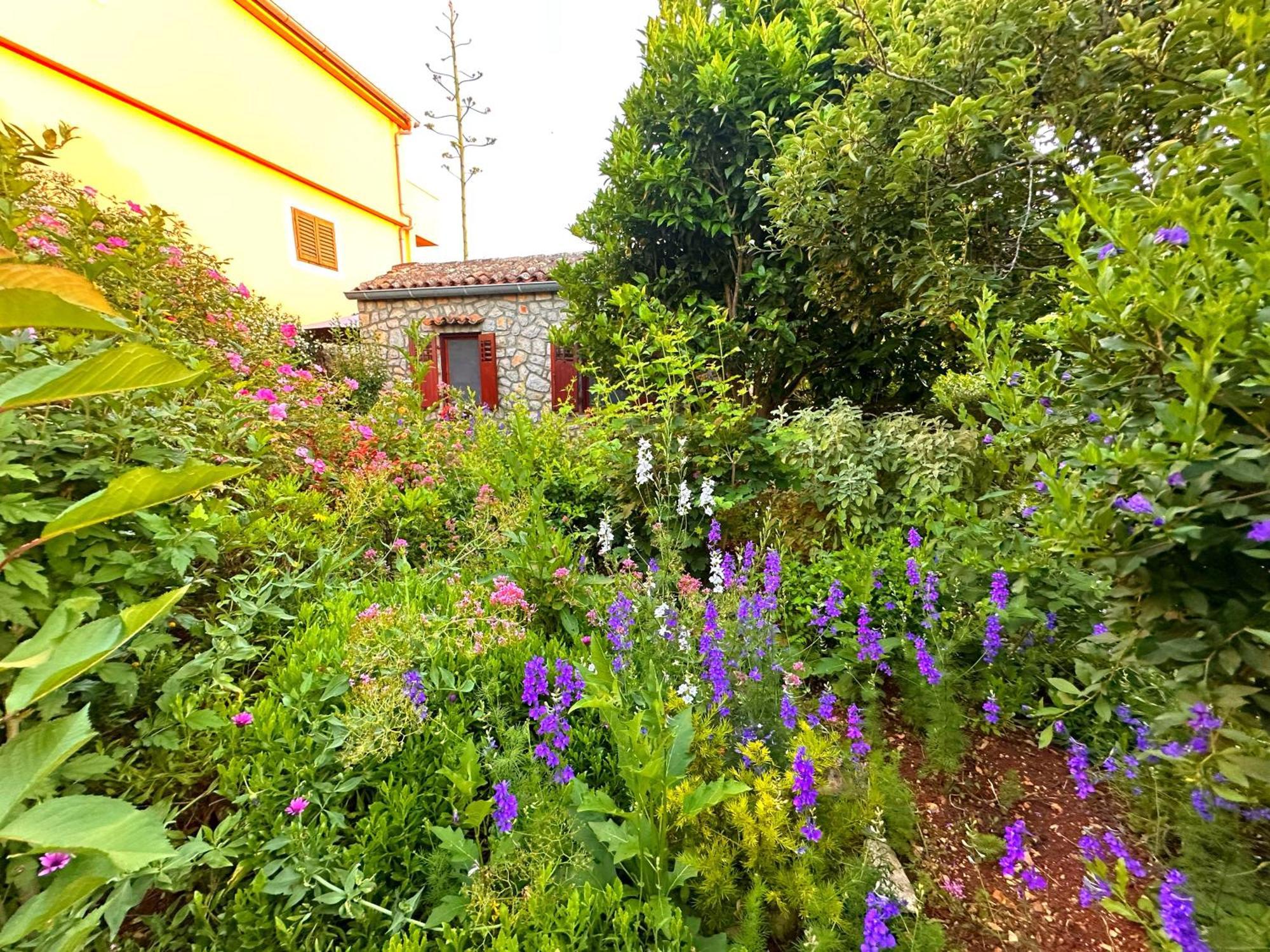 Apartments Cvita Veli Lošinj Exteriér fotografie